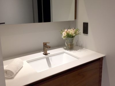 Sureflow Plumbing - Sink